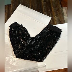 NWOT LE GALI   Dian Velvet, sequin pants